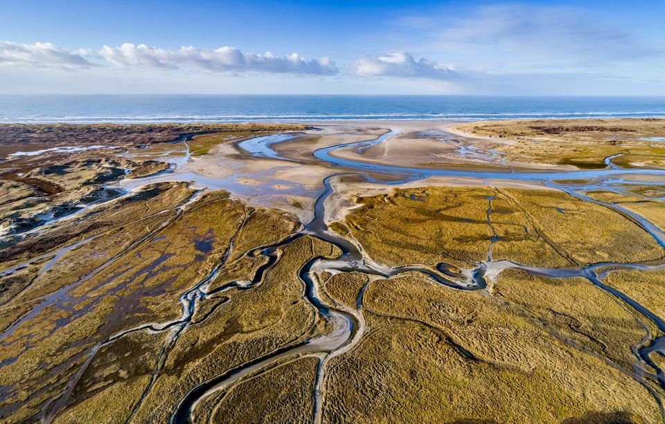Coastal landscape